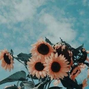 Meet your Posher, Cienna